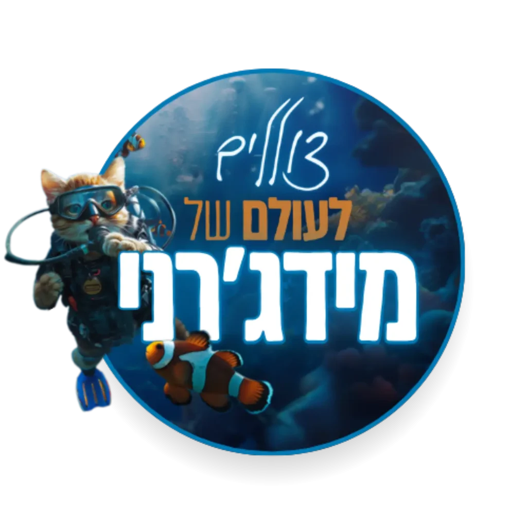 צוללים לעולם של מידגרני 1.webp