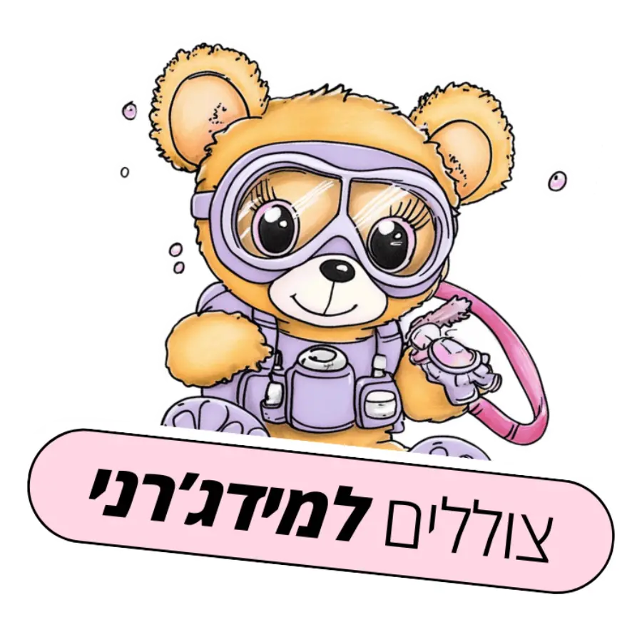 מערכות שהולכות עם מידגרני (5) (1) (1)