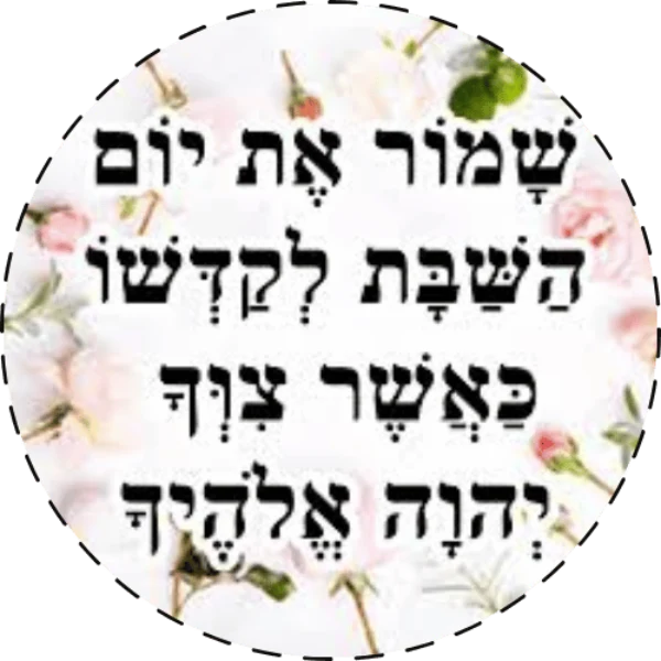 שושנה ט